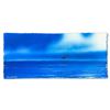 Image 2 : Wyland, "Dolphin" Framed, Hand Signed Original Painting with Letter of Authenticity.