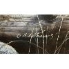 Image 2 : ALAN SAKHAVARZ - PRINT ON BOARD - 29 X 42 INCHES FRAMED