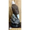 Image 2 : PAUL BURDETTE - EAGLE ORIGINAL CARVING - 15in