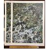 Image 1 : LOT OF 2 - RICHARD STANLEY 'MILD WINTER AHEAD' - PRINTS - 25 x 33.5in