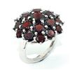 Image 3 : $250 Silver Garnet Ring