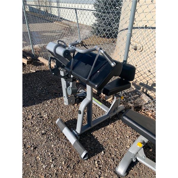 School Board Assets - Lot of Gym Equipment, all professionally disconnected with all accessories. In