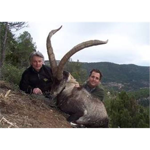 7 DAY HUNT FOR 1 HUNTER IN SPAIN