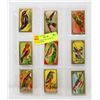 Image 1 : 10 X 1910'S COLOR CIGARETTE CARDS BIRDS