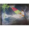 Image 2 : Oakley Boardshorts Kira Sheppard Surfing Artwork 40"x27"