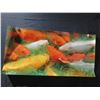 Image 2 : Koi Fish Photo Artwork 20"x40"