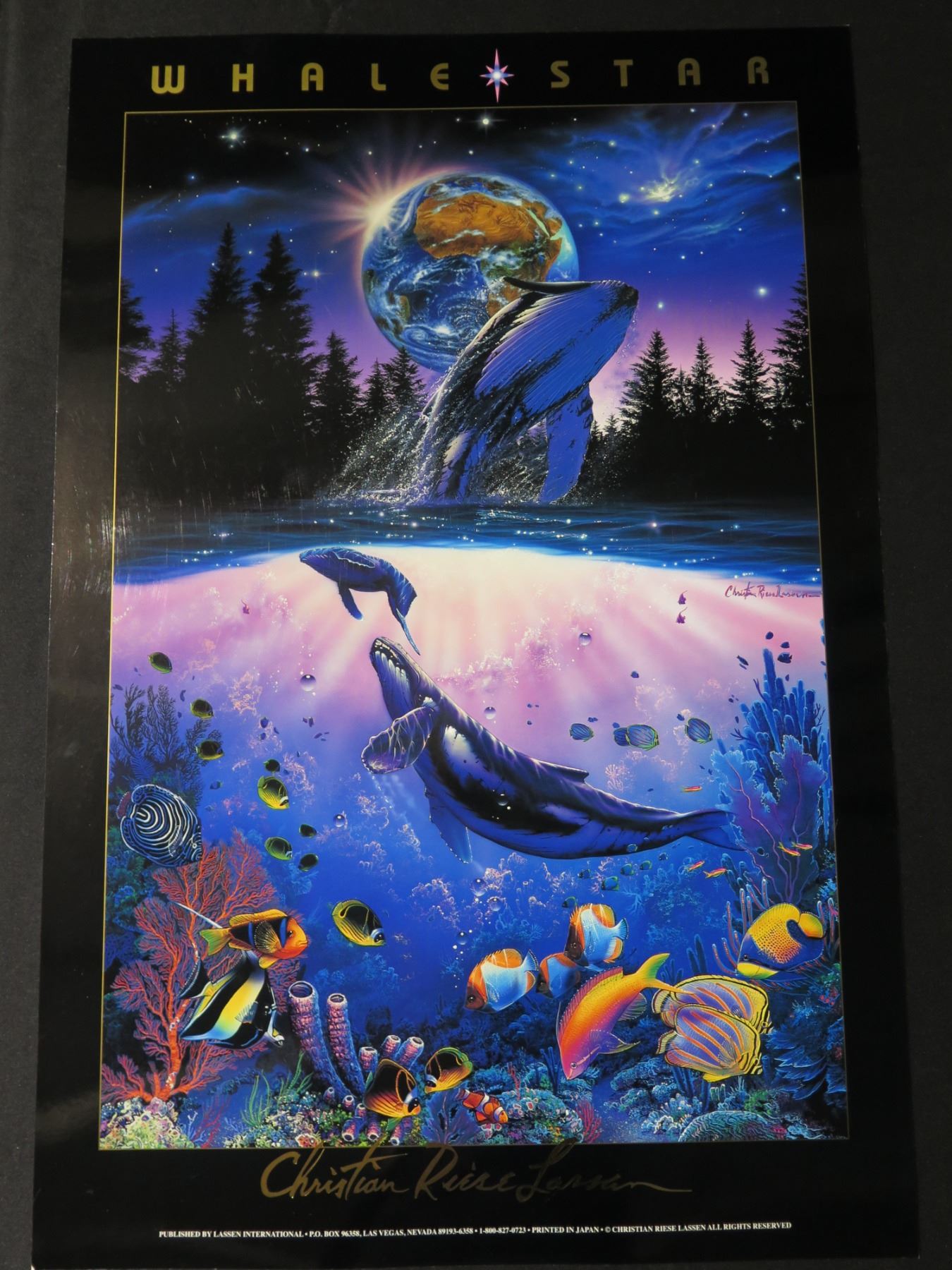 Whale Star Ocean Scene by Christian Riese Lassen Artwork 24