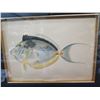 Image 2 : Framed Fish Art w/ Hook 'Acanthurus Unicornis (Forskal) Kala' A.H. Baldwin 22"x23"