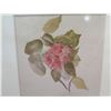 Image 2 : Framed Pohutukawa Tree Flower Circa 1886 by C. Ida Rathbone 14.5"x14.5"