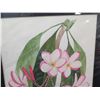 Image 2 : Framed Plumeria Flower Artwork Signed Eda Conklin 12"x15"