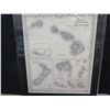 Image 2 : Framed Colton's Hawaiian Group or Sandwich Islands Map Circa 1855, 16"x20"