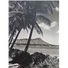 Image 2 : Diamond Head & Waikiki Beach from the Halekulani Hotel Vintage Photo 10"x8"