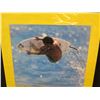 Image 2 : Billabong Junior World Championship '99 Art Promo 16"x23"