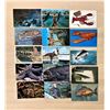 Image 3 : Marine Life 300+ Cards