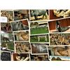 Image 2 : Zoos Approx. 500 cards