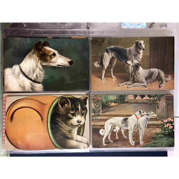 Animals 120+ Cards