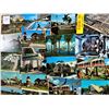 Image 2 : Florida 400+ Cards