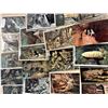 Image 2 : Caves Approx. 150 Cards