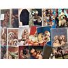 Image 2 : Cats & Dogs Approx. 350 Cards