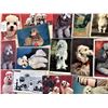 Image 3 : Cats & Dogs Approx. 350 Cards