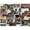 Image 2 : Colorado 1500+ Cards