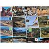 Image 2 : Africa 400+