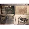 Image 2 : Horses 160+ Cards