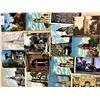 Image 2 : Churches 500+ Cards