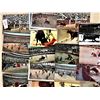 Image 2 : Bullfighting 500+ Cards