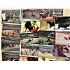 Image 3 : Bullfighting 500+ Cards