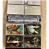 Image 3 : Birds 90 + Cards