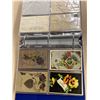 Image 8 : Pansies Approx. 100