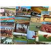 Image 2 : Horse Racing 300+