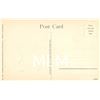 Image 14 : 10 Hawaiian Fish by Hawaii & South Seas Curio Co. Postcards