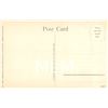 Image 2 : 10 Hawaiian Fish by Hawaii & South Seas Curio Co. Postcards