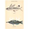 Image 3 : 10 Hawaiian Fish by Hawaii & South Seas Curio Co. Postcards