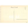 Image 8 : 10 Hawaiian Fish by Hawaii & South Seas Curio Co. Postcards