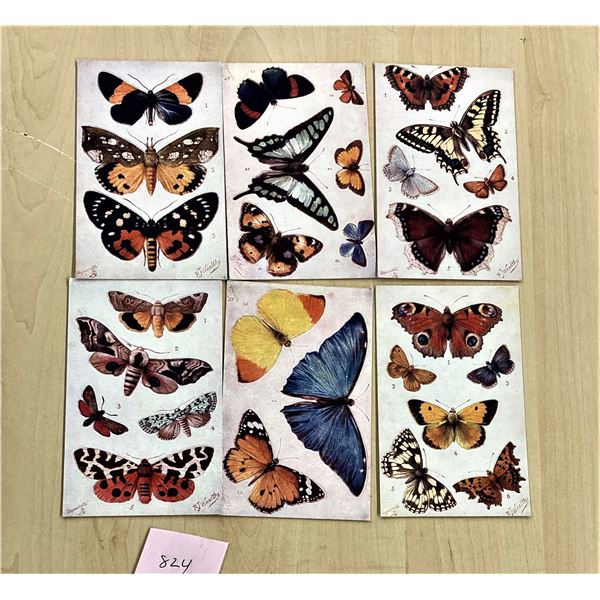 Butterflies on the Wing Tuck Cut Out Postcards & Envelope