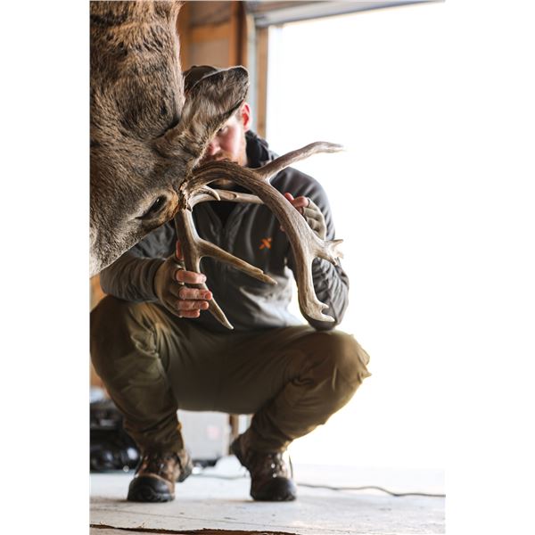 2021 KY Archery Rut Hunt for 2 Hunters with NDA and First Lite