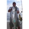 Image 2 : Lake Ontario Salmon & Trout Charter for 4