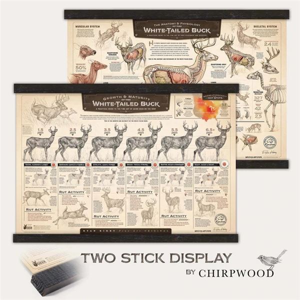 Art of Hunting Bundle, Two Sticks Display and Whitetail Poster by Ryan Kirby