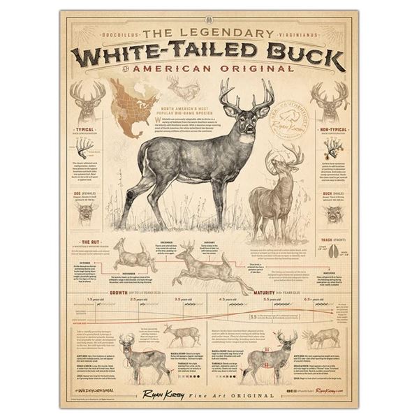 Ryan Kirby Art Whitetail Package