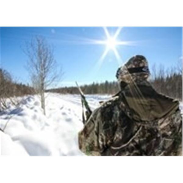 6 Night, 5 day Wolf Hunt in Ontario, Canada