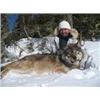 Image 2 : 6 Night, 5 day Wolf Hunt in Ontario, Canada