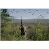 Image 3 : Cordoba Valley Dove Hunt for 2 Hunters
