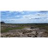 Image 4 : Paleontology Trip to the Montana Badlands