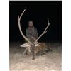 Image 2 : Red Stag Hunt Argentina