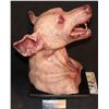 Image 2 : I AM LEGEND SCREEN MATCHED HERO ANIMATRONIC VAMPIRE DOG ON STAND