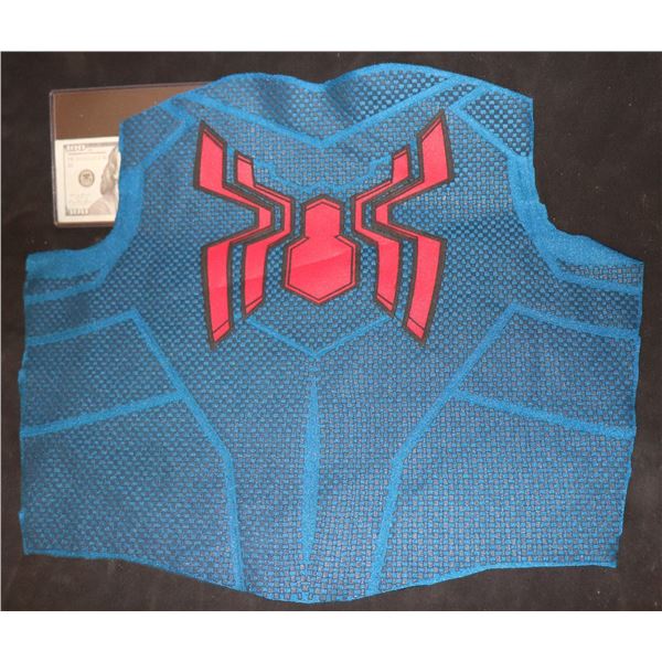 SPIDER-MAN DISNEY BACK PANEL WITH GLYPHS 3 SUPER HERO
