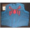 Image 1 : SPIDER-MAN DISNEY BACK PANEL WITH GLYPHS 3 SUPER HERO